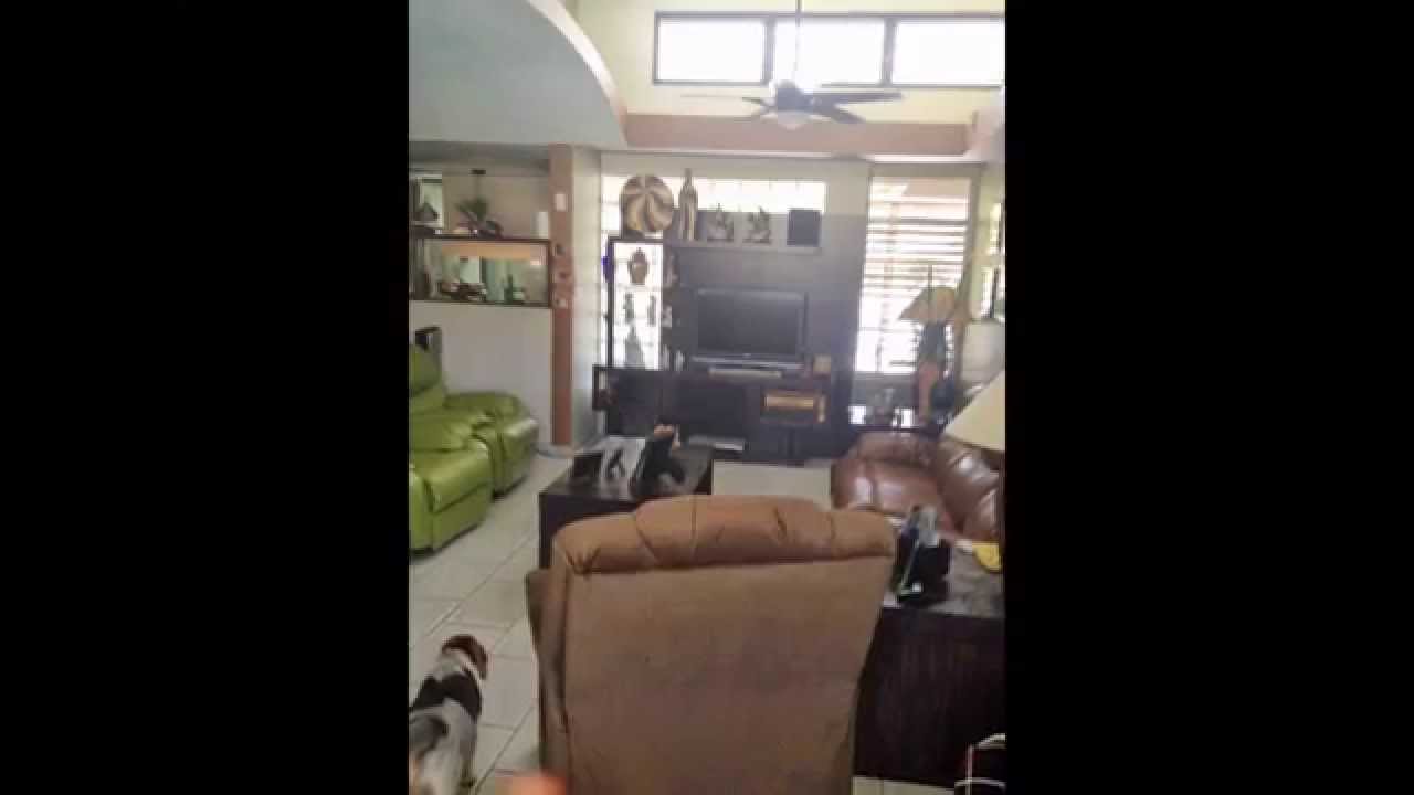 PARKVILLE SUR, GUAYNABO PUERTO RICO YouTube