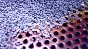 Netherlands. Plastics circular economy - Veolia