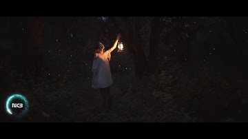 Jim Yosef - Firefly pt II (ft  STARLYTE) [NCB Music Video]