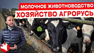 Хозяйство Агрорусь | Молочное животноводство | КУЛЬТИВАТОР