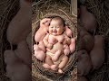 Adorable Baby Surrounded by Tiny Pink Animals - Heartwarming Moments
