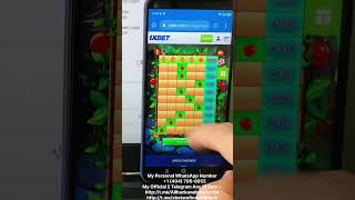 1xbet apple of fortune 🍎 script Android set-up Kiwi Browser hack zip file full complete 2024 #games screenshot 5