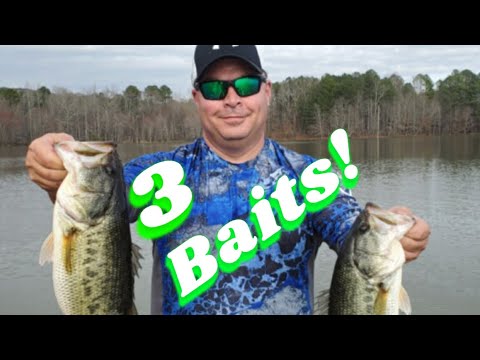 Affordable BIG Swim Baits for Bass Fishing: 3 MUST HAVE lures to