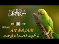 SURAH AN NAJAM RECITATION / Relaxing Therapy / KALAM E ALLAH