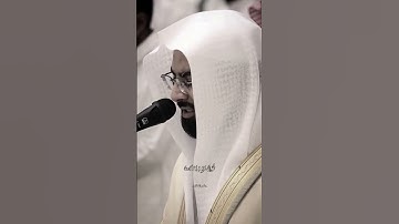 سورة الأنعام بيتلاوة الشيخ ناصر القطامي👆
