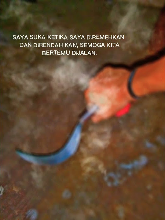 Story wa 30 detik✌
