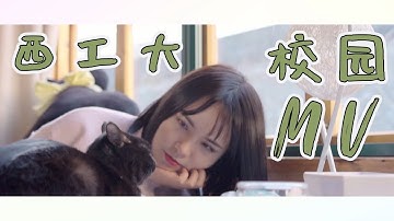 校园MV｜西北工业大學｜招生 宣傳｜西安｜校园风光｜