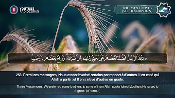 Sourate Al Baqara (253-260) - Ahmed Al Amin  سورة البقرة أحمد الأمين