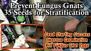 Poor Seed Germination & Fungus Gnats Resolved: 35 Seeds that Benefit from Stratification/Cold