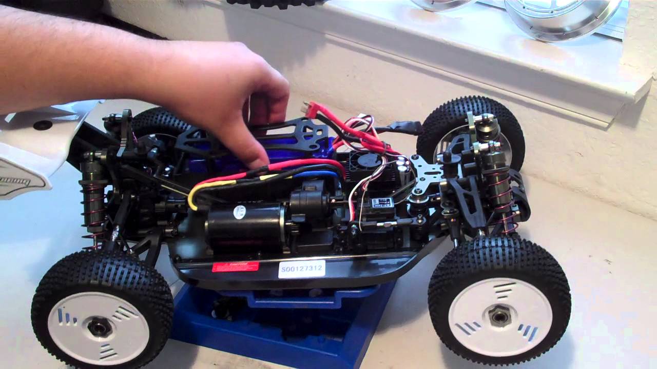 zd racing buggy