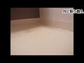 カビ取り　洗剤　カビ取り職人　500ml　技職人魂　業務用洗剤
