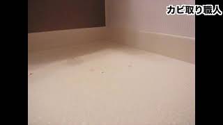 カビ取り　洗剤　カビ取り職人　500ml　技職人魂　業務用洗剤