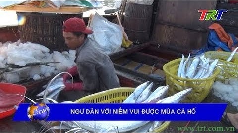 Ngư dân với niềm vui được mùa cá Hố