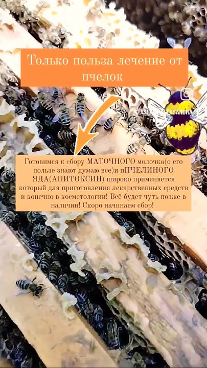 #пасека# #здоровье#красота#косметология#пчелы#продукция пчел#россия# ...