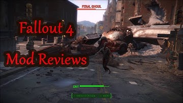 Fallout 4 Mod Reviews - Inventory Improvements