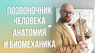 Видео позвоночник в движении thumbnail