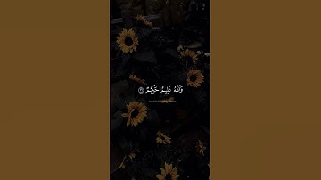 يُرِيدُ اللَّهُ لِيُبَيِّنَ لَكُمْ | سورة النساء | بصوت الشيخ أحمد العجمي #اكسبلور #قرآن #المصحف