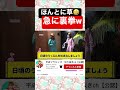 急に裏拳 www #平成フラミンゴ #平成フラミンゴ切り抜き #平成フラミンゴ面白