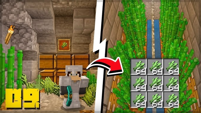 Vida Minecraft - Farm automática de Cana de Açúcar - #21 - Vídeo