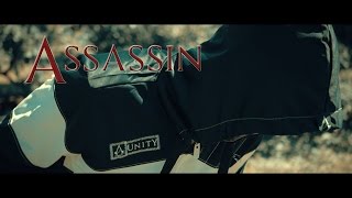 Assassin&#39;s Run