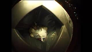 Tagesedit 03.05.2020 - Pat Bocki 3Rd May Sunday