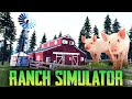 РАДИОВЫШКА И ПРОДАЖА СВИНИНЫ. КУПИЛИ ГРУЗОВИК - СИМУЛЯТОР ФЕРМЫ - Ranch Simulator (СТРИМ) #4