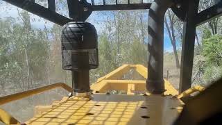 CAT D6K2 XL Dozer clearing timber like it is nothing....