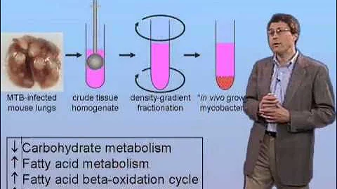 John McKinney (EPFL) Part 4: Targeting M. tuberculosis Carbon Metabolism In Vivo