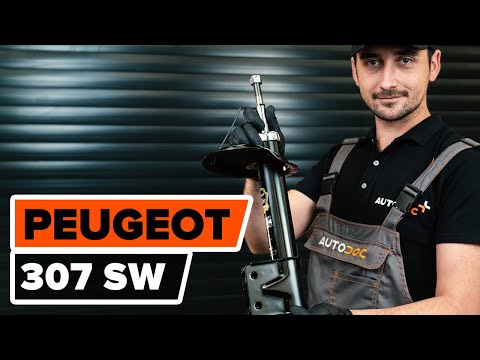 How to change a front shock strut on PEUGEOT 307 (3H) [TUTORIAL AUTODOC]