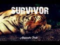 Survivor  alessandro proto original music
