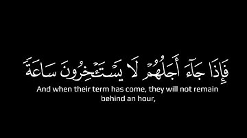 ولو يؤاخذ الله الناس بظلمهم ما ترك عليها من دابة| كروما شاشة سوداء قرآن  سورة النحل  د. ياسر الدوسري