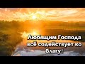 Иван Сафонов: Все содействует ко благу!