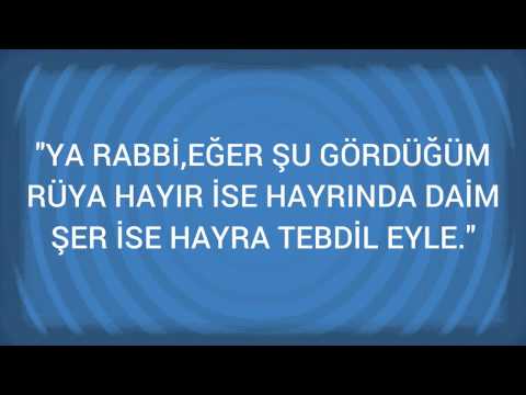 Rüyada Kumar Görmek Ne Anlama Gelir, Ne Demektir?