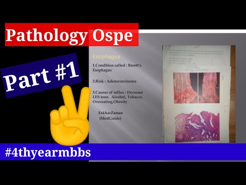 Special pathology ospe