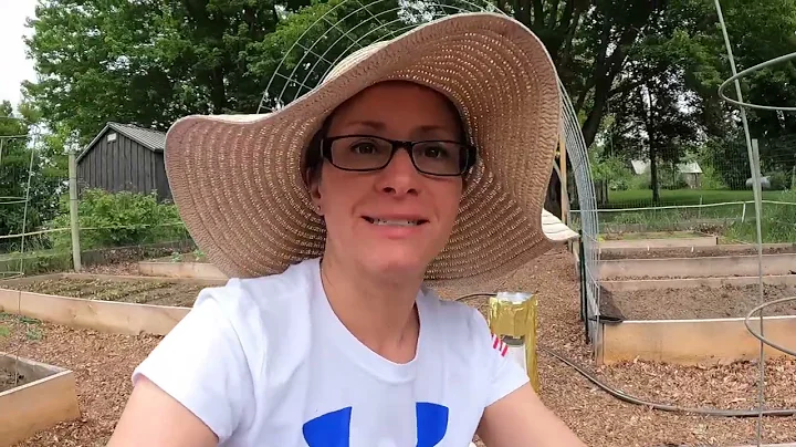 How I Plant Tomatoes!