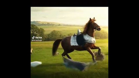 Mèo hoang tấn công ngựa hoang #trendingvideo #animals #videoviral #horse