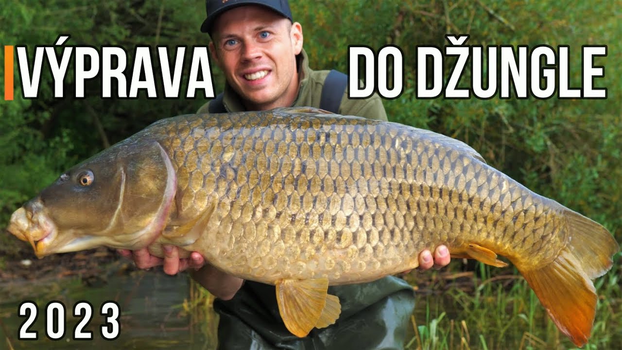 Výprava do Džungle 🐋🌳 Lov Kapra a Rýb na Boilies 😇 Liptovská Mara |  Rybárske Videá s Demexom