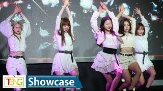 BVNDIT(밴디트) 'Hocus Pocus'(호커스 포커스) Showcase Stage (BVNDIT, BE AMBITIOUS) [통통TV]