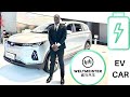 Weltmeister威马汽车EX5&6 - $20k luxury Chinese Car Clean Energy & Electric Vehicles | Easy Trade Africa