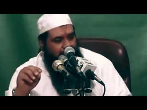 قال الإمام الذهبي عن الإمام الغزالي لولا الصدق الذي فيه لهلك