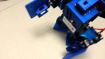 Robolink Humanoid standing up