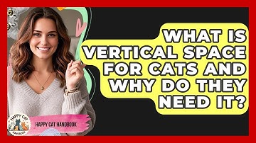 What Is Vertical Space For Cats And Why Do They Need It? - Happy Cat Handbook