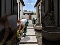 🌙 Transforming an Empty Side Yard into a Cozy Garden Paradise