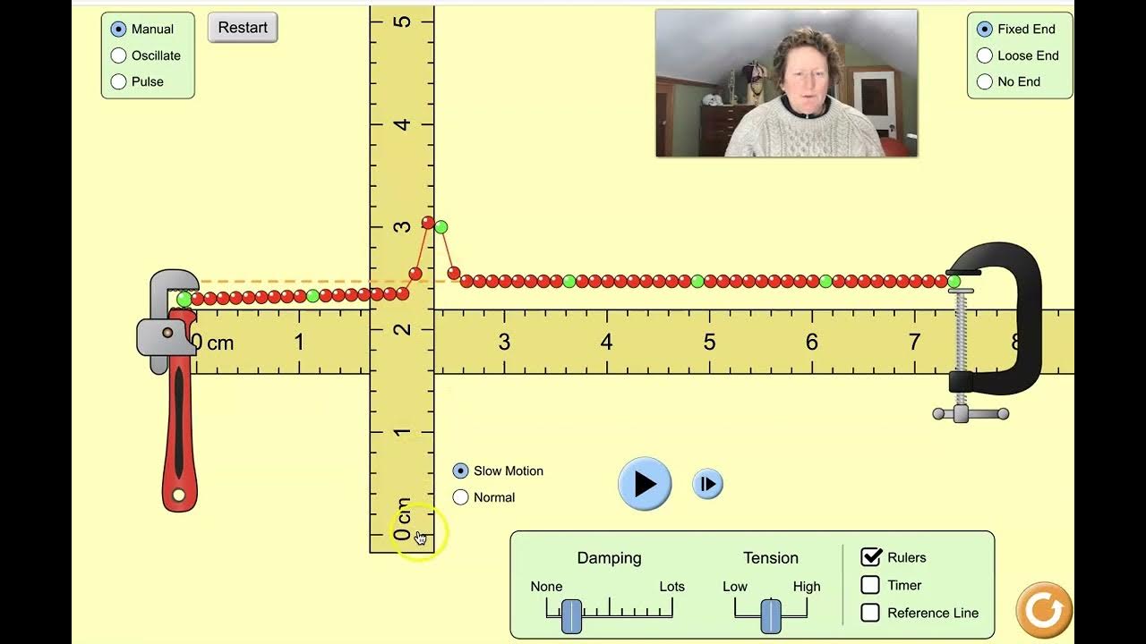 Waves on a String Phet Lab - YouTube