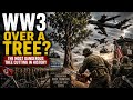 WW3 Over a Tree? The Most Dangerous Tree Cutting in History
