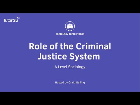 What role does criminal law play in society?