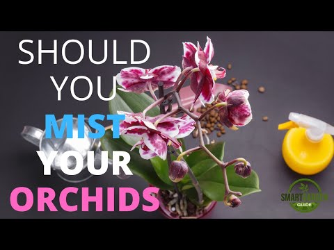 Should You Mist