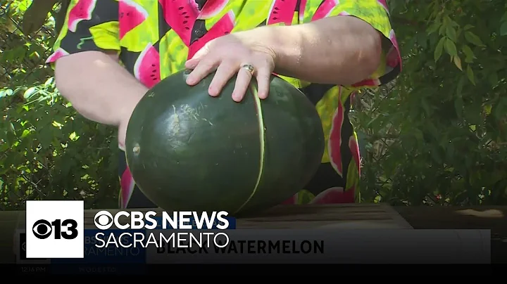 Lunch Break with Michael Marks