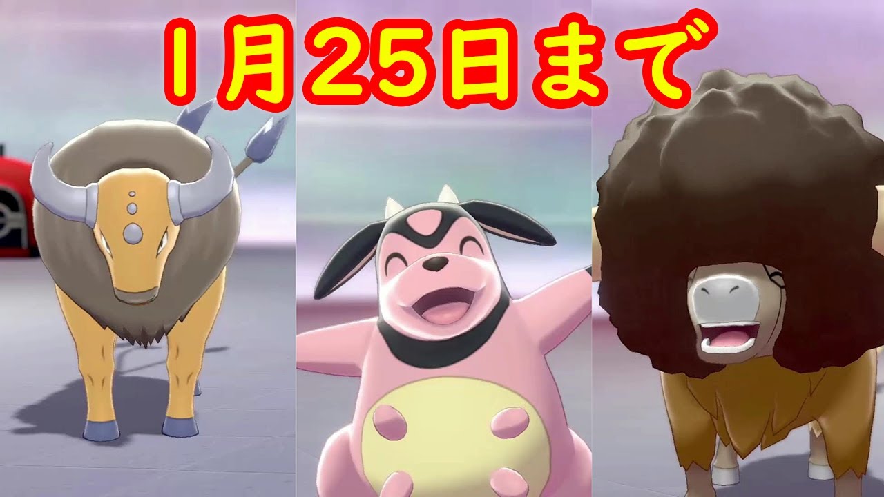 ケンタロス ミルタンク バッフロン 期間限定 マックスレイドバトル ポケモンの巣 に出現中 キャンプで遊ぶ ポケモン剣盾 Youtube