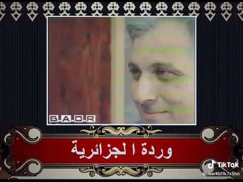 ورده معقول احب تاني